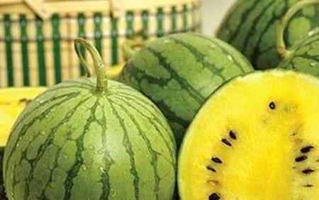 如何辨别吃瓜官网的真伪