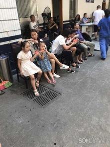 成都吃瓜群众协会官网,揭秘城市生活趣味圈层